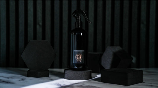 Spray ambiente SIAM 500ml